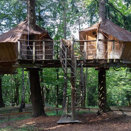 Les Cabanes De Labrousse Saint-Julien-Labrousse Экстерьер фото